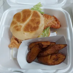 Chicken breast sandwich and side of platanos maduros