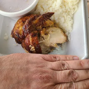 Tiny chicken quarter next to medium glove hand