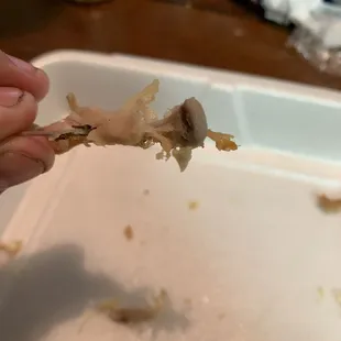 Piece of bone from flautas