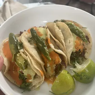 Barbacoa / Beef Barbacoa Taco