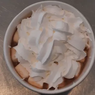Hot Chocolate with Marshmallows and whipped cream... add any topping! It's your chocolate!!