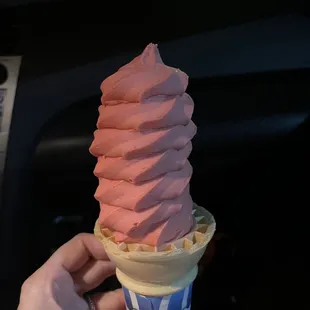 Wild cherry sherbet