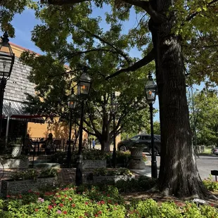 The outdoor seating was very serene and surrounded by trees. Even in the middle of a parking lot, you had a feeling of privacy.