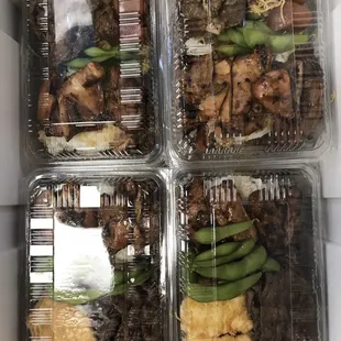 Not a great pic but this is the adult and kids bentos I ordered. Adult has the fried fish you see in the bottom bentos.