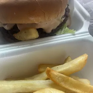 Burger combo ( ate most of my fries on the way home. And burger is bigger than it appears!)