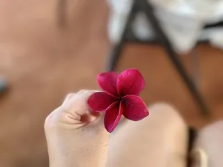 Little Plumeria Farms