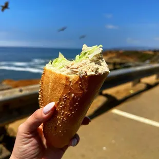 Tuna sandwich on the cliffs!