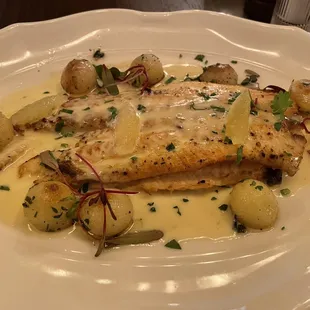 Dover Sole