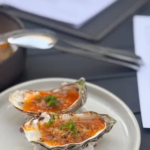 Oysters