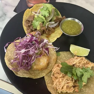 Carne Asada Taco, Shrimp Taco, Tinga de Pollo Taco