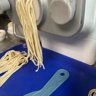 Homemade linguini