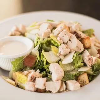 Chicken Caesar Salad
