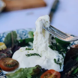 Fresh home made burrata