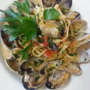 food, pasta dish, pasta