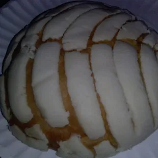 Fresh conchita yummy! !!!