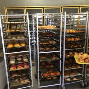 Hot! Just out of the oven