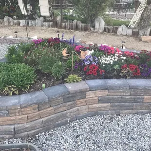 Flower garden in courtyard