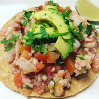 Fish Ceviche Tostada