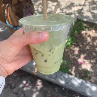 Iced Matcha Coffee