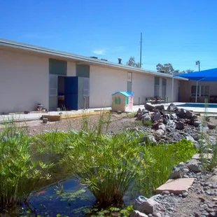 Valley View Elementary Pond - put in during the Ponds for Kids program.  This pond is in a inner courtyard.