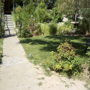 Front Sidewalk at Hess Terrace after landscaping is complete. The pond is on either side of the sidewalk...