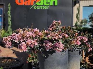 Garden Center of Las Cruces