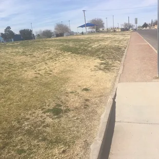 These aren't good running trails.