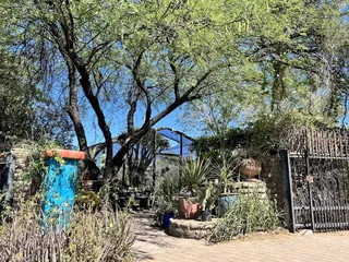 Plants For the Southwest