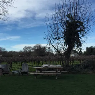 Sitting area to picnic outside with views of vines for miles!
