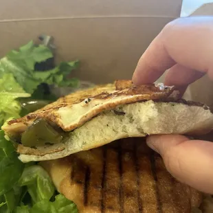 Turkey Pesto Panini