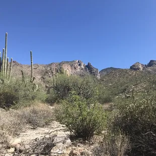 This is why I love Arizona!