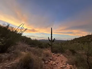 Linda Vista Trail
