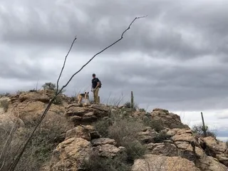Agua Caliente Trail
