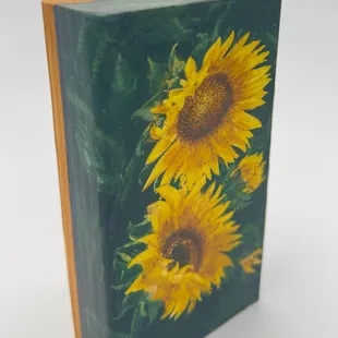 Images by Phyllis.  Concordia artist