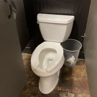 Newer Toilet.