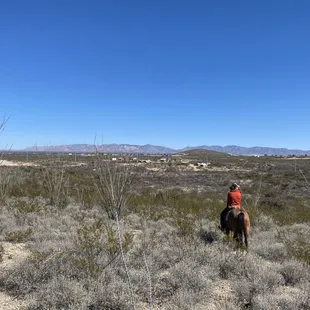Overlooking Tombstone, AZ