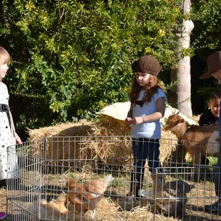 Birthday girl and friends having fun with the birds.
