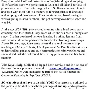 The email explaining about the owner and the lessons