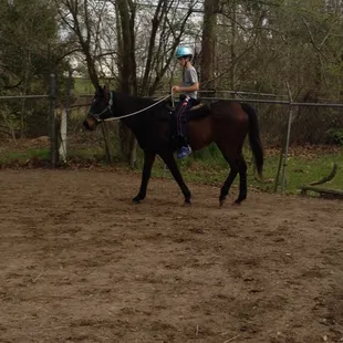 Another photo of the horseback lesson