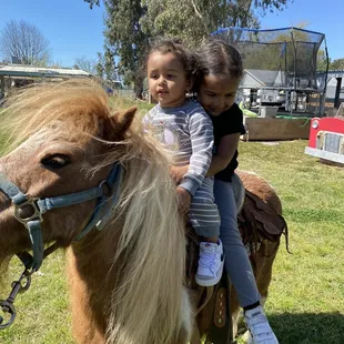 Kids riding the pony