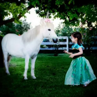 Memories for life Ponylandia Pony Rides.