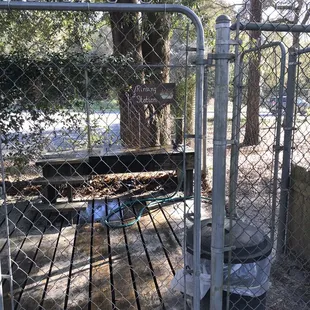 Washing station to get sand off dogs