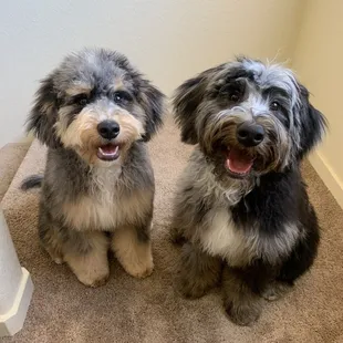 both of them after haircut
