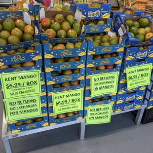 Mangoes at Pooja Grocers