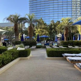 Cabana views