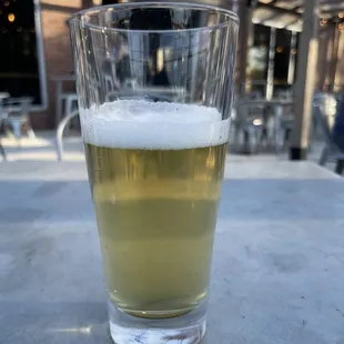 Schatz merican pilsner