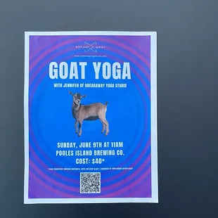 Goat yoga flyer