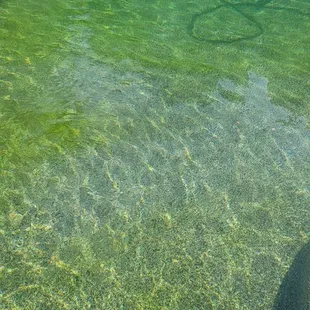 Day 4 after treatment