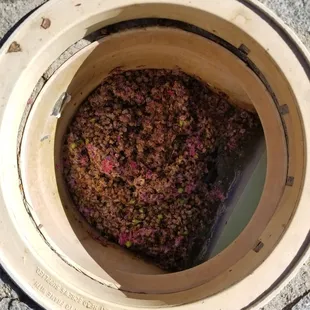 30 min after my pool guy left.. he didnt even clean out the basket...