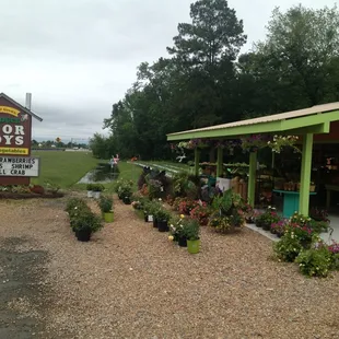 Local fruits and veggies. Peaches! Strawberries! Cold ginger beer.. Plants. Worth a stop coming or going to Elizabeth City.